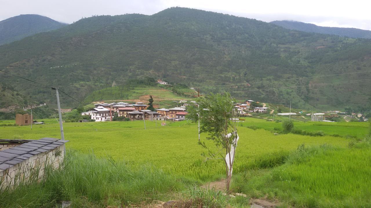 Chimi Lhakhang Village Homestay Punakha Dış mekan fotoğraf