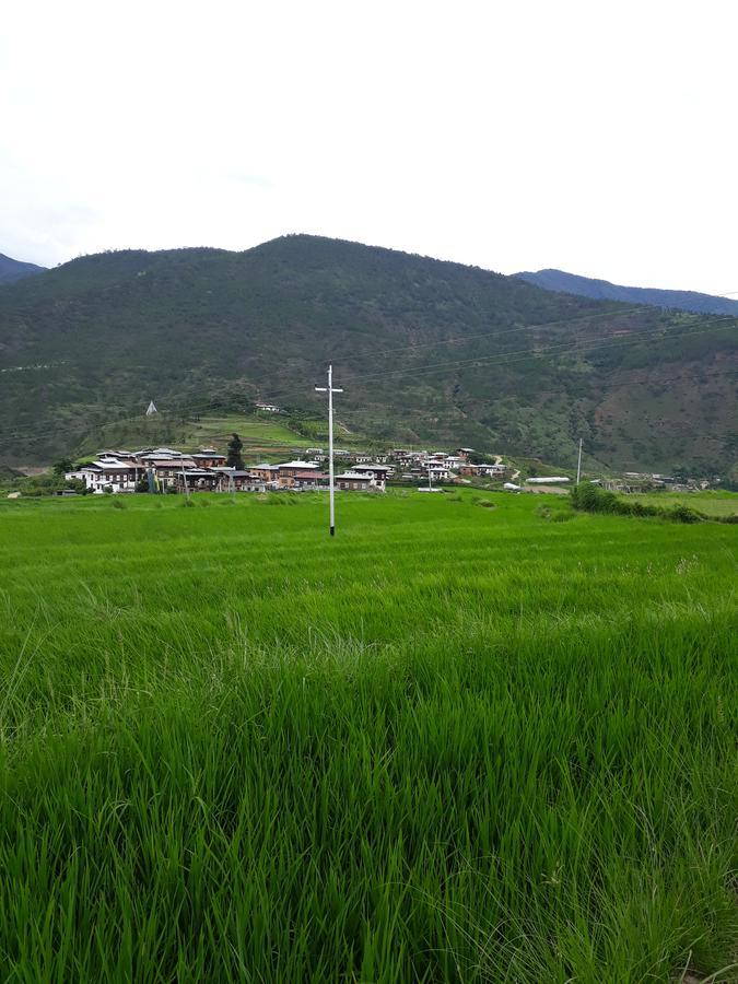 Chimi Lhakhang Village Homestay Punakha Dış mekan fotoğraf